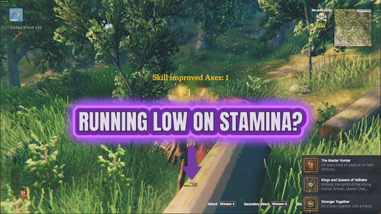 Second Wind (Endless Stamina)